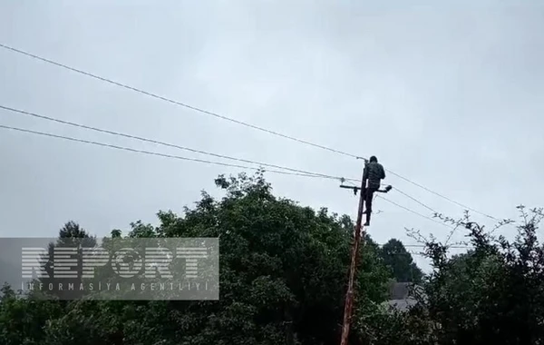 Astarada leysan elektrik təsərrüfatına və vətəndaşlara ziyan vurub - FOTO