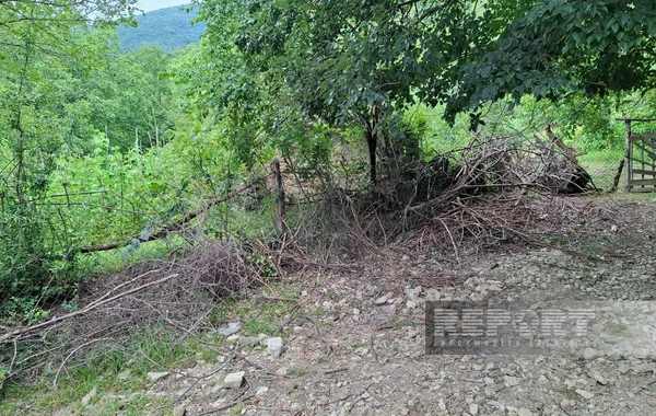 Şəkidə dövlət mühafizəsində olan min illik məbədin bərpaya ehtiyacı var - FOTO
