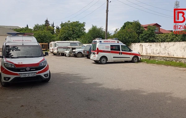 Astarada naməlum vəhşi heyvan kənd sakinlərini QORXUYA SALDI – FOTO