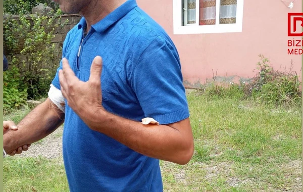 Astarada naməlum vəhşi heyvan kənd sakinlərini QORXUYA SALDI – FOTO