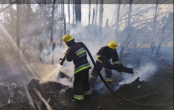 Babək, Culfa və Naxçıvanda yanğınlar olub - FOTO