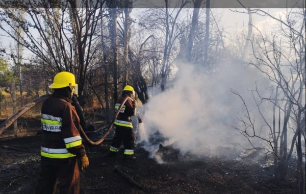 Babək, Culfa və Naxçıvanda yanğınlar olub - FOTO