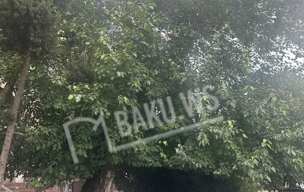 Xətai rayonunda təhlükəli vəziyyət - FOTO