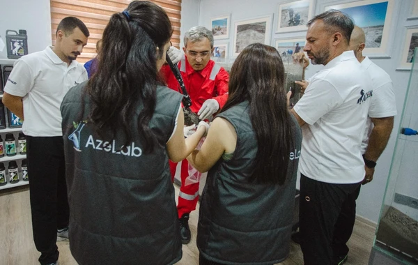 Инновационный проект восстановления засоленных почв в Азербайджане готовится к презентации на COP29 - ФОТО