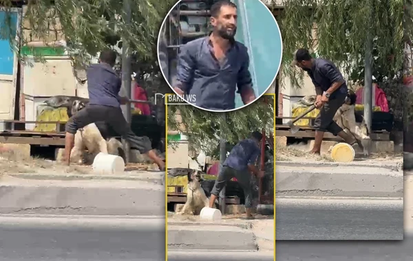 Küçədə itə balta ilə işgəncə verdi - Ürəyi zəif olanlar BAXMASIN - YENİLƏNİB - VİDEO