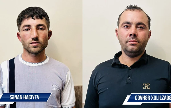 Şəkidə çəkisi 126 kiloqram olan 397 ədəd çətənə kolu aşkarlanıb - FOTO