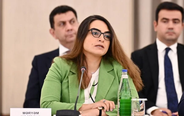 COP29-la əlaqədar Təşkilat Komitəsinin altıncı iclası keçirilib - FOTO