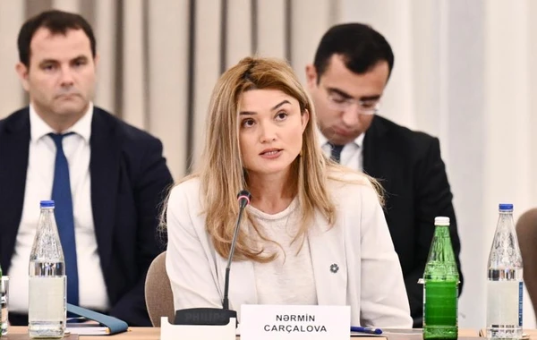 COP29-la əlaqədar Təşkilat Komitəsinin altıncı iclası keçirilib - FOTO