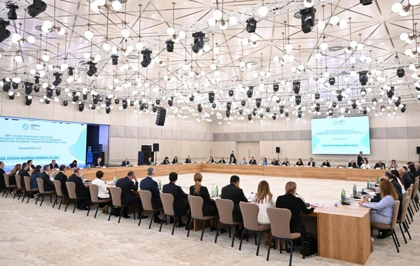 COP29-la əlaqədar Təşkilat Komitəsinin altıncı iclası keçirilib - FOTO