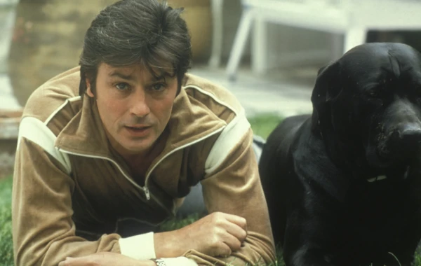 Alen Delon itləri ilə dəfn olunacaq Alen Delon itləri ilə dəfn olunacaq