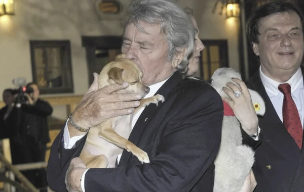 Alen Delon itləri ilə dəfn olunacaq Alen Delon itləri ilə dəfn olunacaq
