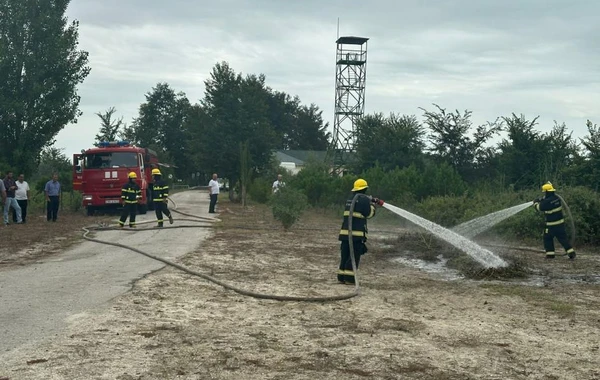 Meşələrdə yanğın təhlükəsizliyi məsələləri müzakirə olunub - FOTO