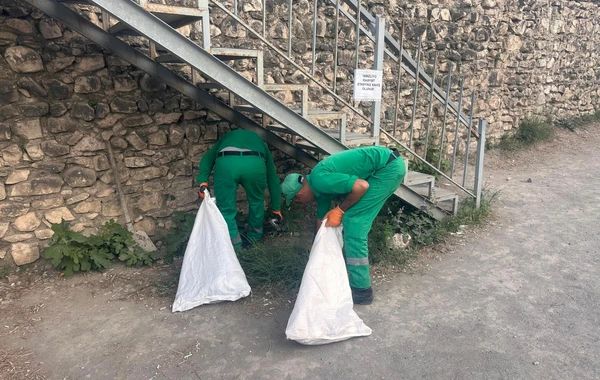 Azad olunmuş ərazilərdə təmizliyin qorunması ilə bağlı ictimaiyyətə çağırış - FOTO
