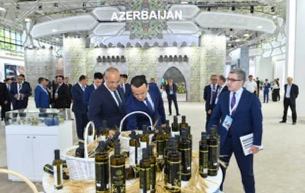 Daşkənddə Azərbaycana həsr olunmuş sərgi keçirilir - FOTO
