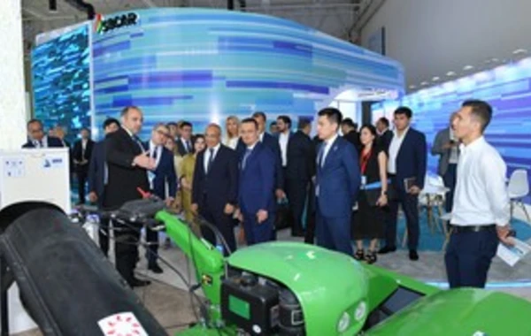 Daşkənddə Azərbaycana həsr olunmuş sərgi keçirilir - FOTO