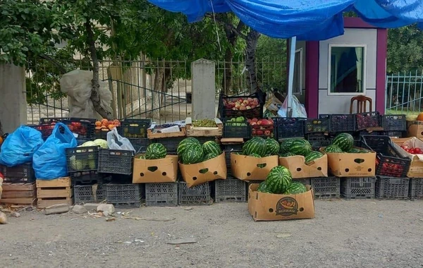 В Ширване наказаны продавцы, торгующие сигаретами несовершеннолетним