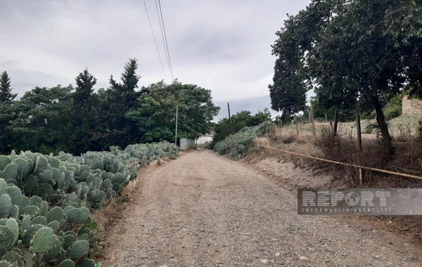 Cəlilabadın kaktuslu kəndindən FOTOREPORTAJ