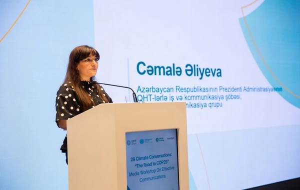 COP29 ərəfəsində media üçün effektiv kommunikasiya strategiyaları mövzusunda seminar təşkil edilib - FOTO