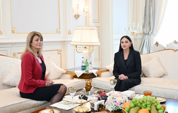 Mehriban Əliyeva - Azərbaycan humanizminin simvolu - FOTO