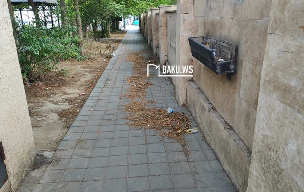 Bakıda şəhidlərin adını daşıyan park niyə zibilliyə çevrilib? – RƏSMİ AÇIQLAMA/FOTO