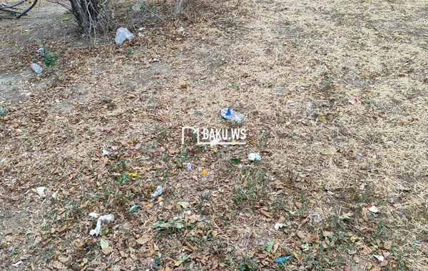 Bakıda şəhidlərin adını daşıyan park niyə zibilliyə çevrilib? – RƏSMİ AÇIQLAMA/FOTO