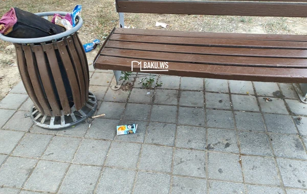 Bakıda şəhidlərin adını daşıyan park niyə zibilliyə çevrilib? – RƏSMİ AÇIQLAMA/FOTO