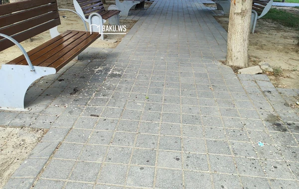 Bakıda şəhidlərin adını daşıyan park niyə zibilliyə çevrilib? – RƏSMİ AÇIQLAMA/FOTO