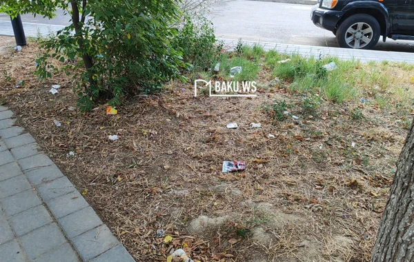 Bakıda şəhidlərin adını daşıyan park niyə zibilliyə çevrilib? – RƏSMİ AÇIQLAMA/FOTO