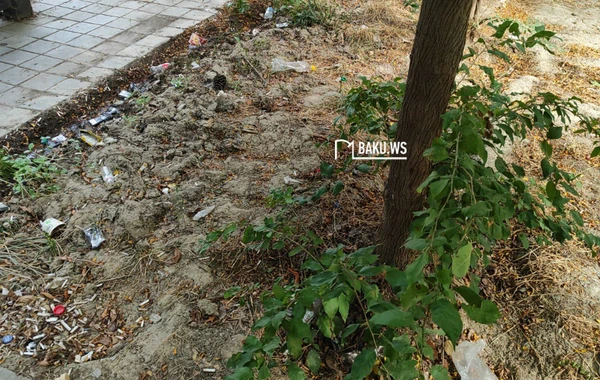 Bakıda şəhidlərin adını daşıyan park niyə zibilliyə çevrilib? – RƏSMİ AÇIQLAMA/FOTO