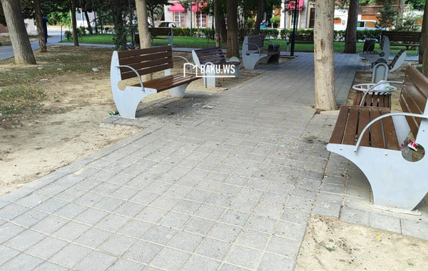 Bakıda şəhidlərin adını daşıyan park niyə zibilliyə çevrilib? – RƏSMİ AÇIQLAMA/FOTO