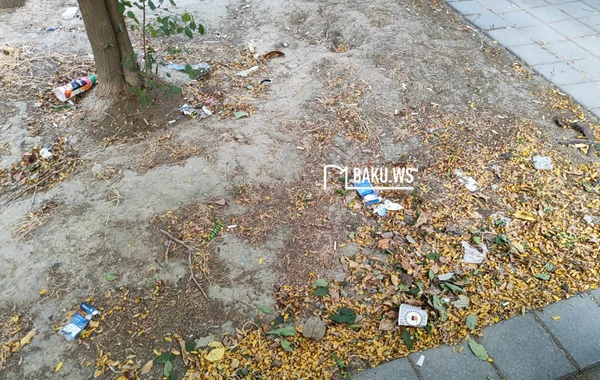 Bakıda şəhidlərin adını daşıyan park niyə zibilliyə çevrilib? – RƏSMİ AÇIQLAMA/FOTO