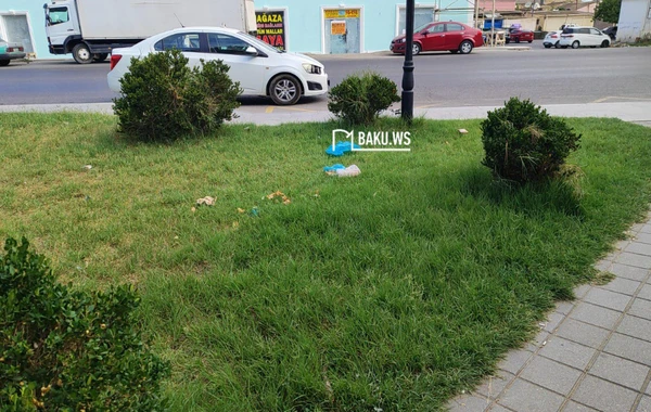 Bakıda şəhidlərin adını daşıyan park niyə zibilliyə çevrilib? – RƏSMİ AÇIQLAMA/FOTO