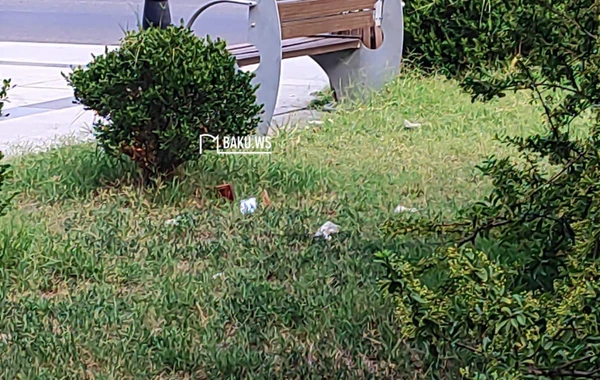 Bakıda şəhidlərin adını daşıyan park niyə zibilliyə çevrilib? – RƏSMİ AÇIQLAMA/FOTO
