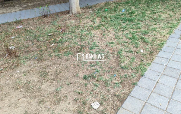Bakıda şəhidlərin adını daşıyan park niyə zibilliyə çevrilib? – RƏSMİ AÇIQLAMA/FOTO