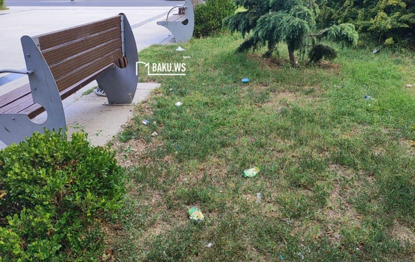 Bakıda şəhidlərin adını daşıyan park niyə zibilliyə çevrilib? – RƏSMİ AÇIQLAMA/FOTO