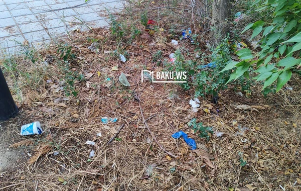 Bakıda şəhidlərin adını daşıyan park niyə zibilliyə çevrilib? – RƏSMİ AÇIQLAMA/FOTO