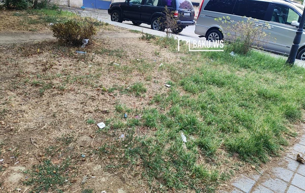 Bakıda şəhidlərin adını daşıyan park niyə zibilliyə çevrilib? – RƏSMİ AÇIQLAMA/FOTO