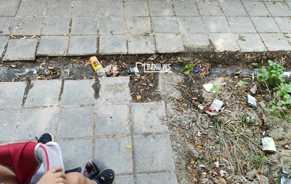 Bakıda şəhidlərin adını daşıyan park niyə zibilliyə çevrilib? – RƏSMİ AÇIQLAMA/FOTO