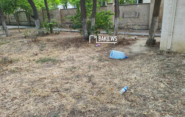Bakıda şəhidlərin adını daşıyan park niyə zibilliyə çevrilib? – RƏSMİ AÇIQLAMA/FOTO