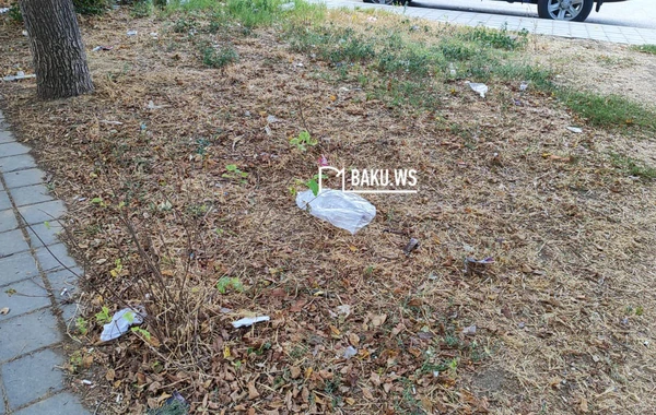 Bakıda şəhidlərin adını daşıyan park niyə zibilliyə çevrilib? – RƏSMİ AÇIQLAMA/FOTO