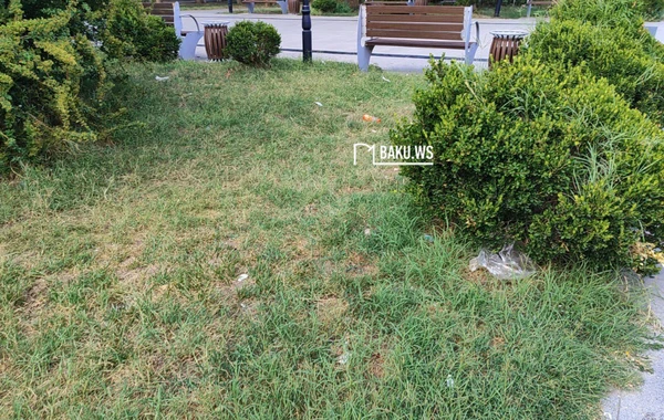Bakıda şəhidlərin adını daşıyan park niyə zibilliyə çevrilib? – RƏSMİ AÇIQLAMA/FOTO