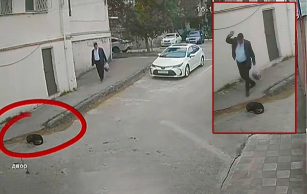 Biləcəridə heyvanlara qarşı rəhmsiz davranan şəxslə bağlı tədbir görüldü