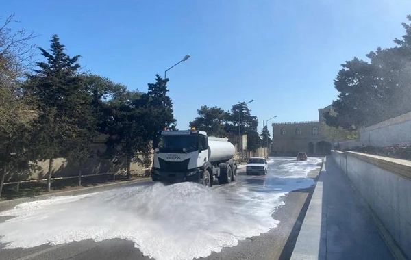 Bakıda yaz mövsümü ilə əlaqədar genişmiqyaslı daxili iməcilik keçirilib