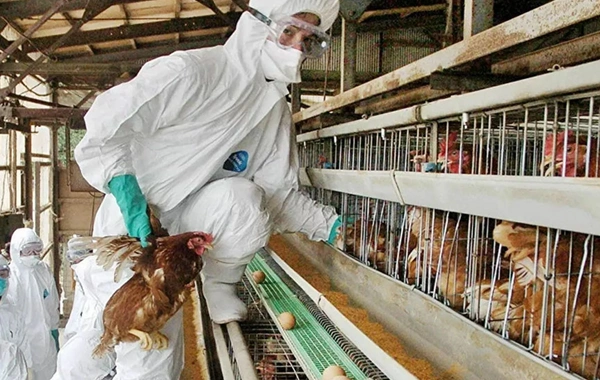 Азербайджан ограничил ввоз продуктов из нескольких стран мира