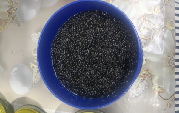 Bakıda bu bazarlarda saxta kürü məhsulları satılırmış