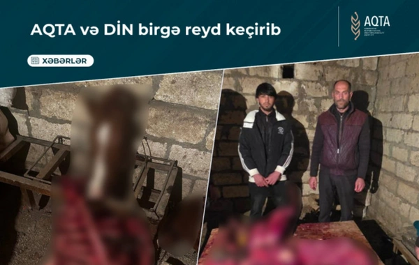 Tərtərdə 150 kq-a yaxın yararsız at ətinin satışa çıxarılmasının qarşısı alınıb