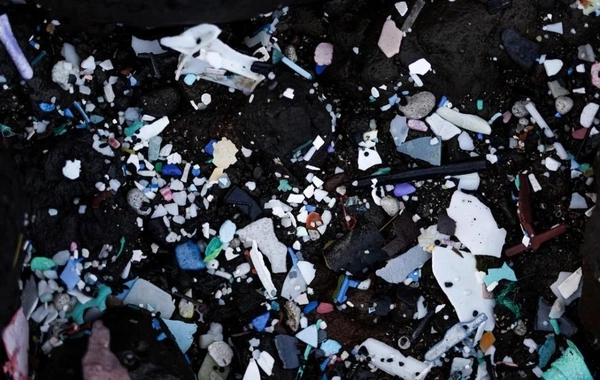 Okeanın hər qatında mikroplastik tapılıb