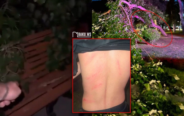 Parkda skamyada oturan gəncin üstünə ağac aşıb