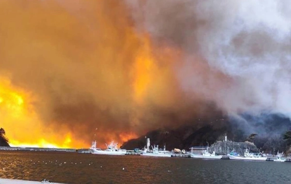 Yaponiyada meşə yanğını: 1 ölü, minlərlə insan təxliyə edildi