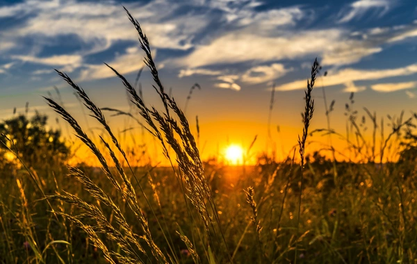 Прогноз погоды в Азербайджане на 24 апреля